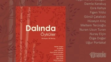 'romanoku yayınları'nın ilk kitabı öykü kitabı oldu!