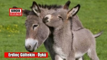 Sahipsizler / Erdinç Gültekin