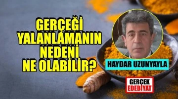 Sahtelik gerçeği nasıl karartır! / Haydar Uzunyayla