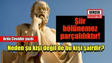 Şiirde olumsuzlamanın kökenselliği / Arda Cevahir
