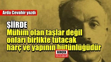 Şiirsellik / Arda Cevahir