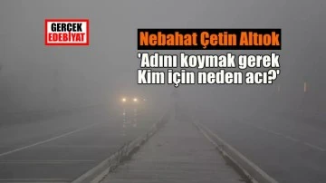 Sıradan günlerin şiiri / Nebahat Çetin Altıok