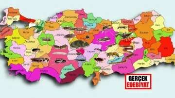 Türkiye için kötü haber: 2023 yazı...