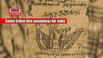 Yılan büyüsü / Sedat Erden