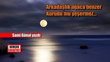 Yüz değiştire değiştire kadın seven cerrah / Sami Günal